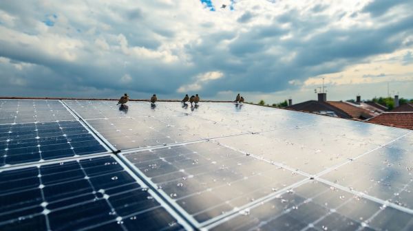 10 astuces pour économiser grâce aux panneaux solaires