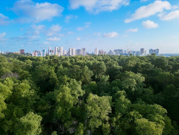 Scpi faut-il vraiment vous inquiéter de la baisse des rendements ?