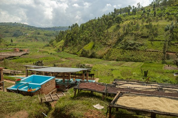 Quelles sont les techniques les plus avancées pour le recyclage des métaux à partir de déchets électroniques?